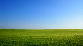 Open land / green field