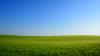 Open land / green field